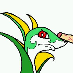 animated annoyed feral furry nintendo penis pokemon serperior