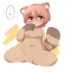 ... 2010 ? akitaka blush breasts female fur furry furry_only kemono mammal nude pussy raccoon solo tail yellow_eyes