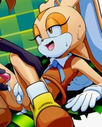 after_sex brown_eyes cream_the_rabbit cum cum_in_pussy cum_inside furry open_mouth penis pussy rabbit rockthebull sega sonic_(series) sonic_the_hedgehog_(series) sweat