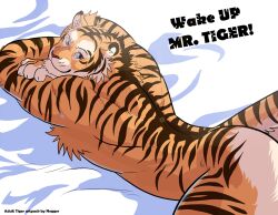 1boy animal_ears ass back bara bed_sheet completely_nude crossed_arms english_text feet_out_of_frame furry furry_male looking_at_viewer lying male_focus muscular muscular_male negy nude on_bed on_stomach orange_fur original original_character seductive_smile short_hair smile solo tail thick_eyebrows thick_thighs thighs tiger_boy tiger_ears tiger_stripes tiger_tail white_fur