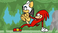 animated anthro awkward_pose bat color echidna female funny furry high_framerate keith2002 knuckles_the_echidna mammal monotreme penis red_fur rouge_the_bat sega sex silly sonic_(series) spinning spinning_on_penis straight vaginal_penetration