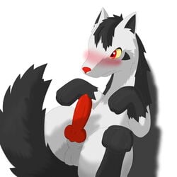 animal_genitalia balls blush canine_penis erection feral howling_wolves knot lying male male_only mightyena nintendo on_back penis plain_background pokemon sheath solo video_games white_background