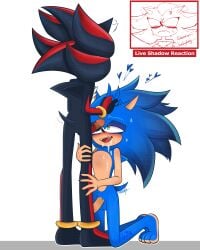 anthro anthro_on_anthro cum_in_mouth kneeling shadow_the_hedgehog sonadow sonic_(series) sonic_the_hedgehog sonic_the_hedgehog_(series) vvelocity yaoi