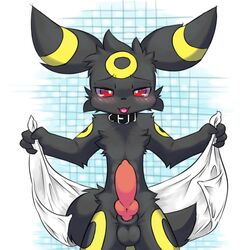 animal_genitalia anthro balls blush canine_penis collar eeveelution erection fur furry_ears furry_tail knot looking_at_viewer male male_only nintendo open_mouth penis pokemon pokemon_(species) pvt._keron sheath solo tail towel umbreon video_games