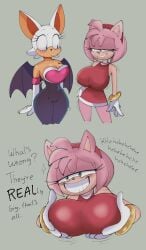 2girls amy_rose bat_girl bat_wings big_breasts closed_smile color color_edit colored colored_sketch colorshun daredemon7000 daringdankdemon furry furry_ears furry_female furry_tail green_eyes pink_body rouge_the_bat sega short_hair smile sonic_(series) sonic_the_hedgehog_(series) spread_breasts standing