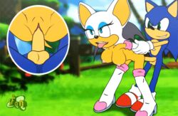 1boy 1girls animated anthro balls bat big_breasts breasts duo exposed_torso female footwear fur furry handwear hedgehog male mammal nipples nude penetration penis pussy rouge_the_bat sega sex sfan sonic_(series) sonic_the_hedgehog straight vaginal vaginal_penetration video_games