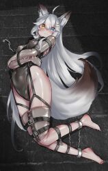 absurdres ahoge animal_ear_fluff animal_ears black_leotard blue_eyes blush bodysuit bondage breasts cameltoe chains collar covered_navel covered_nipples female grey_hair heterochromia highres latex latex_bodysuit latex_leotard leotard long_hair looking_at_viewer lying medium_breasts on_side original pxfz1234 shibari_over_clothes skin_tight solo tail very_long_hair yellow_eyes