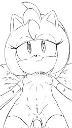 amy rose from sega by randomguy999