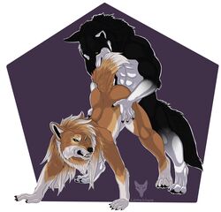 anthro canine female growl lilythekitsune male mammal muscles sex snarling sniperwolfscout were werewolf wolf