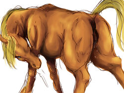 anus ass blonde_hair blue_eyes equine female feral fur hair horse looking_back mammal nabesiki pussy pussy_juice raised_tail tan_fur