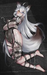 absurdres ahoge animal_ear_fluff animal_ears black_leotard blue_eyes blush bodysuit bondage breasts cameltoe chains collar covered_navel covered_nipples egg_vibrator female grey_hair heterochromia highres latex latex_bodysuit latex_leotard leotard long_hair looking_at_viewer lying medium_breasts on_side original pxfz1234 sex_toy shibari_over_clothes skin_tight solo tail very_long_hair vibrator yellow_eyes