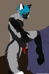 1boy anal anthro anus ass backsack balls bed black_nose canine erection fox lilythekitsune looking_at_viewer looking_back male male_only mammal orange_eyes pawpads paws penis pinup pose presenting presenting_hindquarters sheath silver solo spread_anus spreading