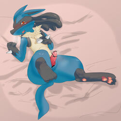 1boy anthro atode_kimeru balls barefoot blush canine censored claws erection fur furry furry_only jackal knot looking_down lucario lying male male_only nintendo nude on_back open_mouth pawpads paws penis pokemon pokemon_(species) sharp_claws sharp_teeth solo spikes sweat toe_claws video_games