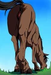 anatomically_correct anatomically_correct_pussy black_hair blue_eyes brown_fur equine female fur hair horse mammal nabesiki pussy raised_tail solo