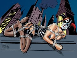 harley quinn from batman (series) by shawn van briesen