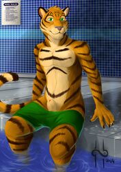 1boy 2014 absurd_res anthro clothing feline green_eyes hi_res hufnaar looking_at_viewer male male_only mammal partially_submerged penis penis_tip sheath shorts shorts_down sitting smile solo swimming_pool swimsuit tiger ulbrek water