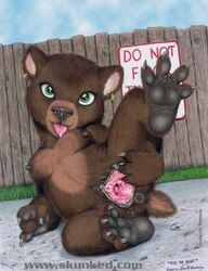 1girls anthro anus bear big_anus breasts ear_piercing female furry green_eyes hindpaw james_m_hardiman mammal nipples nude paws piercing puffy_anus pussy solo spreading tongue young