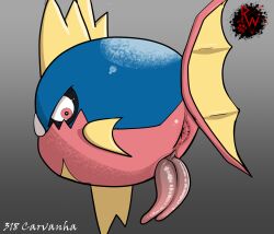 2_penises angry animal_genitalia anus ass big_penis blue_body carvanha digital_media_(artwork) diphallia diphallism erection feral feral_only fish generation_3_pokemon genitals hi_res horizontal_diphallism looking_at_viewer male male_only marine multi_genitalia multi_penis nintendo penis pokemon pokemon_(species) rapistwerewolf rear_view simple_background solo tail teeth