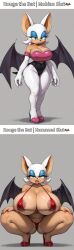 ai_generated before_and_after female furry furry_ears furry_female furry_tail humaned mobian mobian_(species) mobian_bat rouge_the_bat slut sonic_(series) sonic_the_hedgehog_(series)