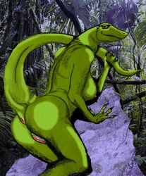 anus female lizard lokidragon87 nipples original original_character pussy reptile scalie solo