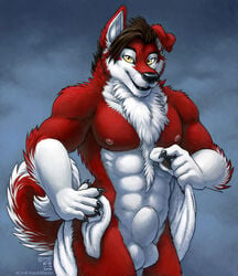 2015 abs amara_telgemeier anthro balls canine fur gausswolf hair hybrid looking_at_viewer malamute male male_only mammal nipples nude red_fur sheath solo standing towel whiskers white_fur wolf yellow_eyes