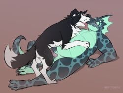 animal_genitalia anthro anthro_on_feral blush canid canine canis domestic_dog dragon duo feral from_front_position genital_slit genitals hi_res knot knotted_penis lying male male/male mammal mintyderg mythological_creature mythological_scalie mythology on_back penetration penis scalie slit_penetration slit_play zoophilia
