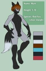 2020 5_fingers absurd_res animal_genitalia anthro arm_tuft balls black_arms black_balls black_body black_countershading black_ears black_fingers black_fur black_hands black_legs black_nose black_sheath black_tail blue_eyes brown_hair canid canine character_name countershading digitigrade elbow_tuft eyebrows fingers fox full-length_portrait fully_sheathed fur fur_tuft genitals grey_body grey_fur hair hi_res mammal matt_(silverfox442) model_sheet nude portrait reverse_countershading sheath suddenhack tail text tuft two_tone_tail