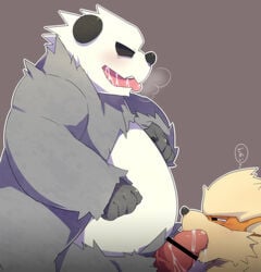 ambiguous_gender arcanine bear blush canine chubby drooling duo japanese_text male male_only mammal nintendo oral panda pangoro penis pokemon pokemon_(species) precum saliva steam text video_games white_monkey