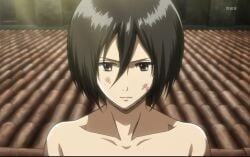 mikasa ackerman from attack on titan