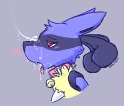 2013 ambiguous_gender bell blue_fur blush canine collar cum cum_on_face fangs feral fur half-closed_eyes heart lucario male mammal nintendo open_mouth pokemon pokemon_(species) red_eyes shugowah spikes tongue tongue_out video_games