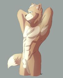 abs canine fetchmonkey fox fox_mccloud male male_only mammal nintendo nude plain_background presenting profile smile solo standing star_fox video_games