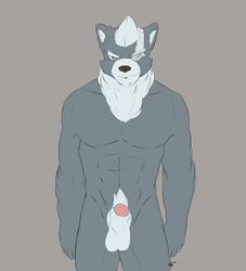 abs canine fetchmonkey looking_at_viewer male male_only mammal nintendo nude penis smile solo standing star_fox video_games wolf wolf_o'donnell