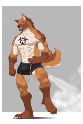 anthro big_bulge bulge canid canine canis claws clothed clothing domestic_dog fart fart_cloud fart_fetish gassy german_shepherd herding_dog hi_res male mammal manly muscular muscular_male muying partially_clothed pastoral_dog raised_leg raised_tail solo tail underwear underwear_only