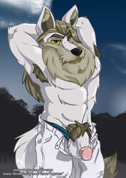 abs bayson beard body_hair canine clothing facial_hair flaccid fur king_altador looking_at_viewer lupe male male_only mammal muscles neopets pants penis white_fur