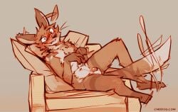 2026 anthro biped blush blushing_profusely brown_body brown_fur canid canine canis cantio_(lawyerdog) coyote digital_media_(artwork) ear_twitch embarrassed flaccid fur furniture genitals hi_res humanoid_genitalia humanoid_penis lawyerdog lying male mammal multicolored_body multicolored_fur nude_anthro nude_male on_back on_sofa penis sofa solo tail tail_motion tailwag white_body white_fur