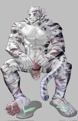 1boy abs animal_ears arknights bara claws flip-flops furry furry_male grey_background highres looking_to_the_side male_focus mountain_(arknights) multiple_scars muscular muscular_male navel nipples pawpads pectorals penis ponytail sandals scar scar_across_eye scar_on_arm scar_on_cheek scar_on_face scar_on_hand scar_on_leg scar_on_stomach see-through_male_swimwear sitting suggestive_fluid tail tiger_boy tiger_ears tiger_tail wuhure