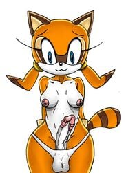 1futa =3 anthro big_breasts breasts clothing damian_hodge dickgirl futa_only futanari intersex marine_the_raccoon monochrome nipples panties penis plain_background solo solo_futa sonic_(series) underwear white_background wide_hips