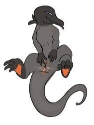 ass axxelroze bodily_fluids female feral generation_7_pokemon genital_fluids genitals looking_at_viewer nintendo pokemon pokemon_(species) presenting presenting_hindquarters presenting_to_viewer presenting_vulva reptile salandit scalie solo spread_legs spread_vulva spreading tail_anus tongue tongue_out vaginal_fluids vulva