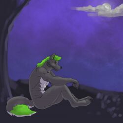 animated anthro big_muscles big_penis body_hair canid canine canis chest_hair chest_hair_growth full_moon fungimagi genitals green_eyes green_hair growth hair huge_cock huge_muscles hyper hyper_genitalia hyper_muscles hyper_penis male mammal moon muscular mythological_canine mythological_creature mythology penis ritzywolf solo transformation werecanid werecanine werecreature werewolf wolf