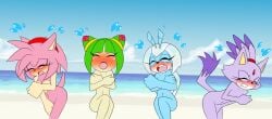 4girls 4kids_entertainment amy_rose beach beetle blaze_the_cat commission cosmo_the_seedrian feline female hedgehog idw_publishing jewel_the_beetle kamiraexp multiple_girls nude seedrian sega sonic_(series) sonic_rush sonic_the_hedgehog_(comics) sonic_the_hedgehog_(idw) sonic_the_hedgehog_(series) sonic_x tms_entertainment whatsittoya