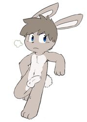 1boy anthro artist_request balls blue_eyes color fur grey_fur hair lagomorph male male_only mammal muscles nude oob paws penis rabbit rabbit_tail solo young