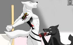 2014 anka anthro bed canine christine cuffs cum fellatio female folf fox handcuffed handcuffs hybrid kishu male mammal oral original original_character penis pole sex shackles straight struggle tattoo wolf