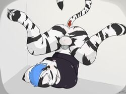 1boy anthro anus balls blue_hair bondage bound ceiling-cat chastity chastity_cage chastity_device feline fur furry hair indrick_(character) male male_chastity male_only mammal plain_background restraint solo straitjacket stripes tiger tongue tongue_out upside-down white_fur