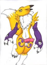 2015 balls bandai boxice digimon erection knot male male_only penis renamon solo