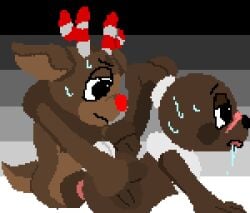 1boy 1boy1girl 1girls ambiguous_penetration animated anthro anthro_female anthro_male anthro_on_anthro anthro_only anthro_penetrating_anthro antlers bent_over blinking blush bunny cock cocoa_(dandy's_world) dandy's_world dark_brown_body dark_brown_fur deer dick drool drooling duo ears_tied_back f/m female female/male female_anthro female_furry female_on_male furry furry_female furry_male furry_on_furry furry_only genitals gradient_background hoof_hands lagomorph legless lidded_eyes looking_pleasured m/f male male/female male_anthro male_furry male_on_female neck_fluff no-human no_balls no_human no_humans no_legs non-human non-human_only okwartlol only_furry penetration penis pink_penis pixel_(artwork) pixel_art pleasured pleasured_female rabbit red_nose reindeer roblox roblox_game rudie_(dandy's_world) saliva sex simple_background straight striped_antlers sweat sweatdrop sweaty tail thrusting_hips white_tail