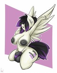 1futa 2015 anthro areola balls big_breasts breasts bulge clothing cutie_mark dickgirl ear_piercing eq equine fan_character futanari hair hair_over_eye half-closed_eyes intersex kneeling mammal my_little_pony navel pegasus penis piercing sanders solo thong two_tone_hair underwear wings