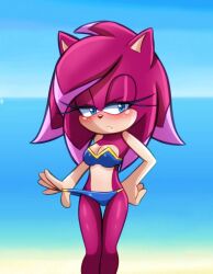 ass beach bikini bra breasts incest_(lore) magenta_body panties pink_hair seductive_look sonia_the_hedgehog sonic_(series) sonic_the_hedgehog sonic_the_hedgehog_(series) sonic_underground sun