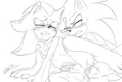 shadow the hedgehog from sega by soina