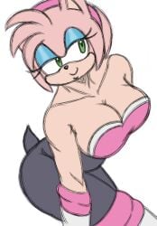 amy_rose amy_the_bat big_breasts blue_eyeshadow bodysuit curvy embernarukami neckline rouge_the_bat_(cosplay) seductive_look sonic_(series) spandex_suit thick_thighs