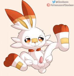 balls blush cloudeon feral fur generation_8_pokemon genitals hi_res lagomorph legs_up lying male mammal nintendo on_back penis pink_background pokemon pokemon_(species) presenting presenting_penis red_eyes scorbunny simple_background solo spread_legs spreading tapering_penis text url white_body white_fur
